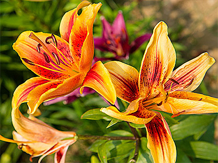 C7娱乐平台产品展示八