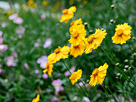 C7娱乐平台客户案例三